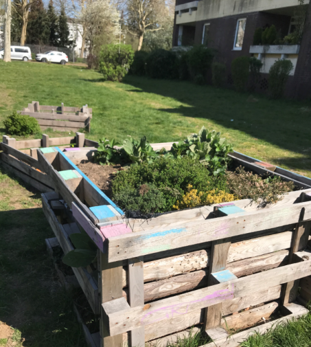 Foto vom Hochbeet im Gemeinschaftsgarten in der Klever Südstadt