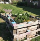 Garten in der Brüningstrasse