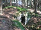 Das Foto zeigt einen im Wald versteckten Eingang zum Keller einer Dynamitfabrik aus dem Ersten Weltkrieg.