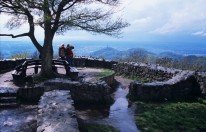 Zu sehen ist der Blick von hinten auf eine Aussichtsplattform im Siebengebirge. Das kahle Geäst eines alten großen Baumes hebt sich gegen den Himmel ab, der Boden ist regennass. Am Rande der Aussichtsplattform stehen zwei Wander*innen, die die imposante Aussicht betrachten.