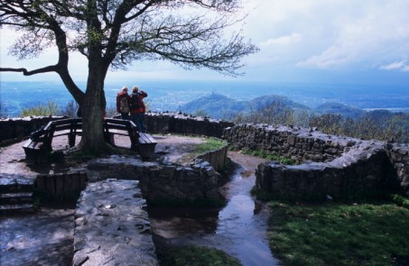 Zu sehen ist der Blick von hinten auf eine Aussichtsplattform im Siebengebirge. Das kahle Geäst eines alten großen Baumes hebt sich gegen den Himmel ab, der Boden ist regennass. Am Rande der Aussichtsplattform stehen zwei Wander*innen, die die imposante Aussicht betrachten.