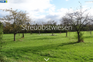 Ein Foto von einer Streuobstwiese mit Überschrift der StoryMap: Streuobstwiesen in der Kulturlandschaft