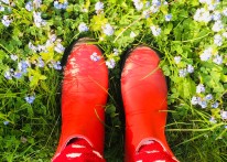 Gummistiefel auf einer Blumenwiese. Foto: J. Dörstel