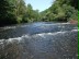 Foto: Fluss mit Ufergehölzen im Bereich eines Wehres.