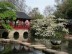 Foto: Gebäude im japanischen Garten mit wasser im Vordergrund