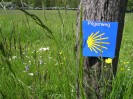 Pilgerweg Martierung auf Holzpfahl in Wiese