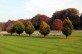 Foto: Ehrenfriedhof in Reichswald