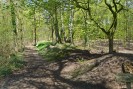 Foto: Landwehr an der Swalm