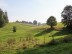 Grünland mit einzelnen Bäumen im Vordergrund. Im Hintergund eine Anhöhe mit Gebäuden eines landwirtschaftlichen Betriebs