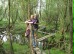 Foto: ein Mann und eine Frau, die über Holzplanken durch ein Feuchtgebiet gehen.