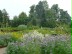 Foto: bunt blühende Beete in einem Bauerngarten.