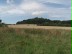 Foto: Burg-Bunker-Bläuling