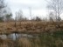 Foto: Struffeltheide und den Rotter Wald in Roetgen