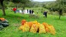 Foto: Platz 3 (Mensch&Kulturlandschaft): Obstschütteln am Türmchen. Foto: Jan Aletsee