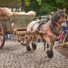 Auf dem Foto ist ein mit Säcken beladener Karren zu sehen, vor welchen ein Pferd gespannt ist. Das Pferd zieht den Karren über einen gepflasterten Weg. Am Wegrand stehen Leute, welche das Geschehen mitverfolgen.