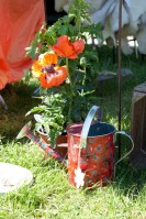 Foto: Gießkanne, die mit roten Blumen bepflanzt ist