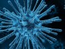 Rasterelektronenmikroskopische Aufnahme eines Corona-Virus