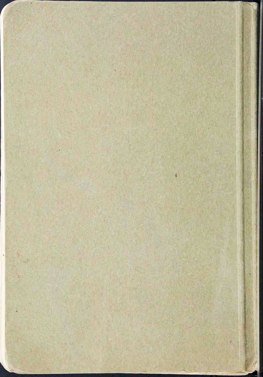 Dieses Bild zeigt, den hintern Buchdeckel, der einfach nur eine beige Fläche ist ohne Motiv.