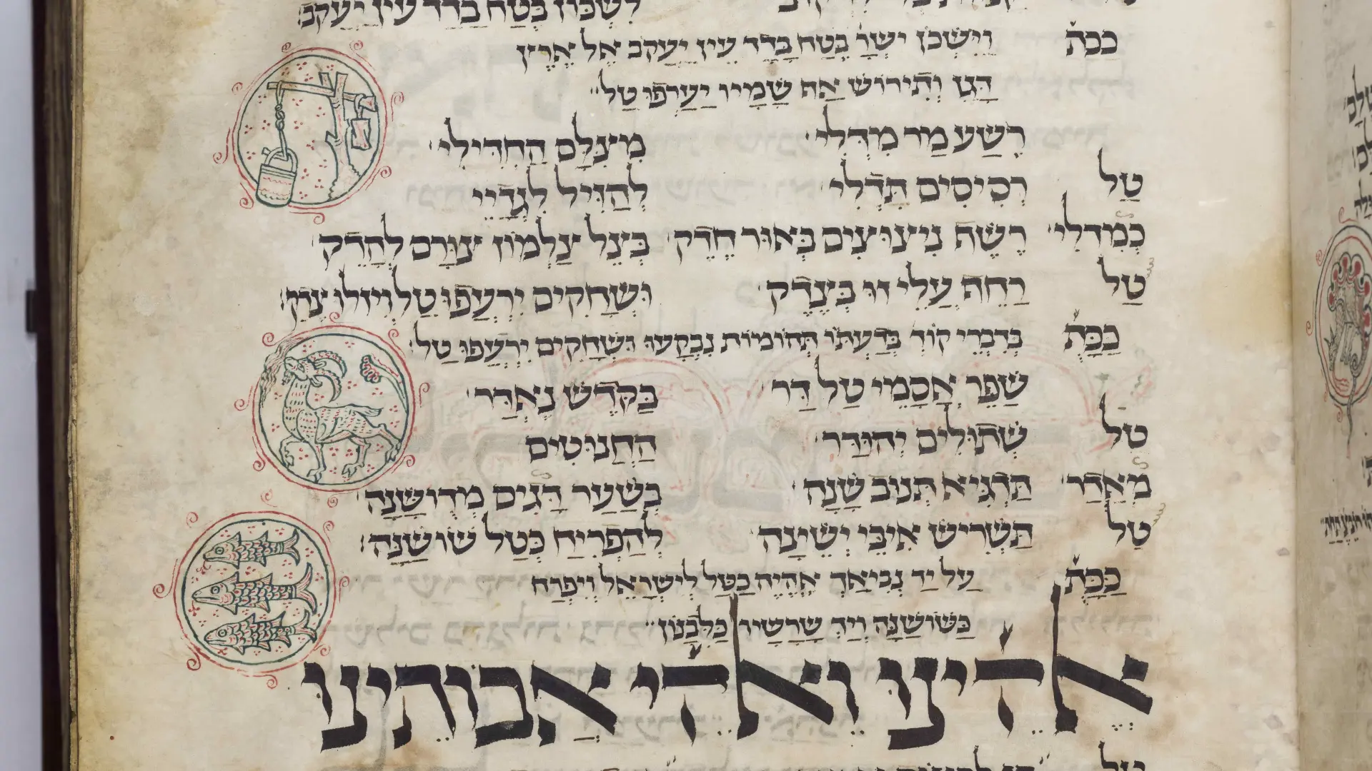 Der Amsterdam Machsor ist in einer Vitrine im Wallraf-Richartz-Musuem in Köln ausgestellt. Das dicke alte Buch ist aufgeklappt. Im Hintergrund sind dunkle Ausstellungswände mit Ausstellungstexten zu erkennen.