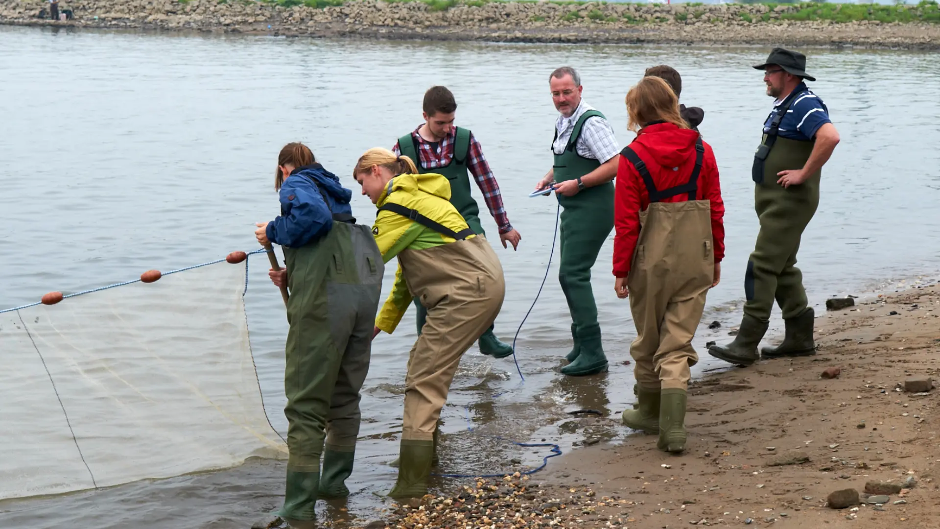 Das Bild zeigt mehrere Menschen in langen Gummihosen stehend an einem Fluss, die ein Netz aus dem Wasser ziehen
