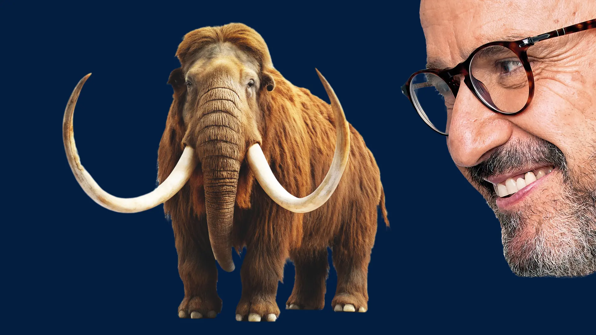 Das Bild zeigt das Gesicht eines Mannes mit Brille und ein Mammut. Der Mann schaut auf das Mammut 