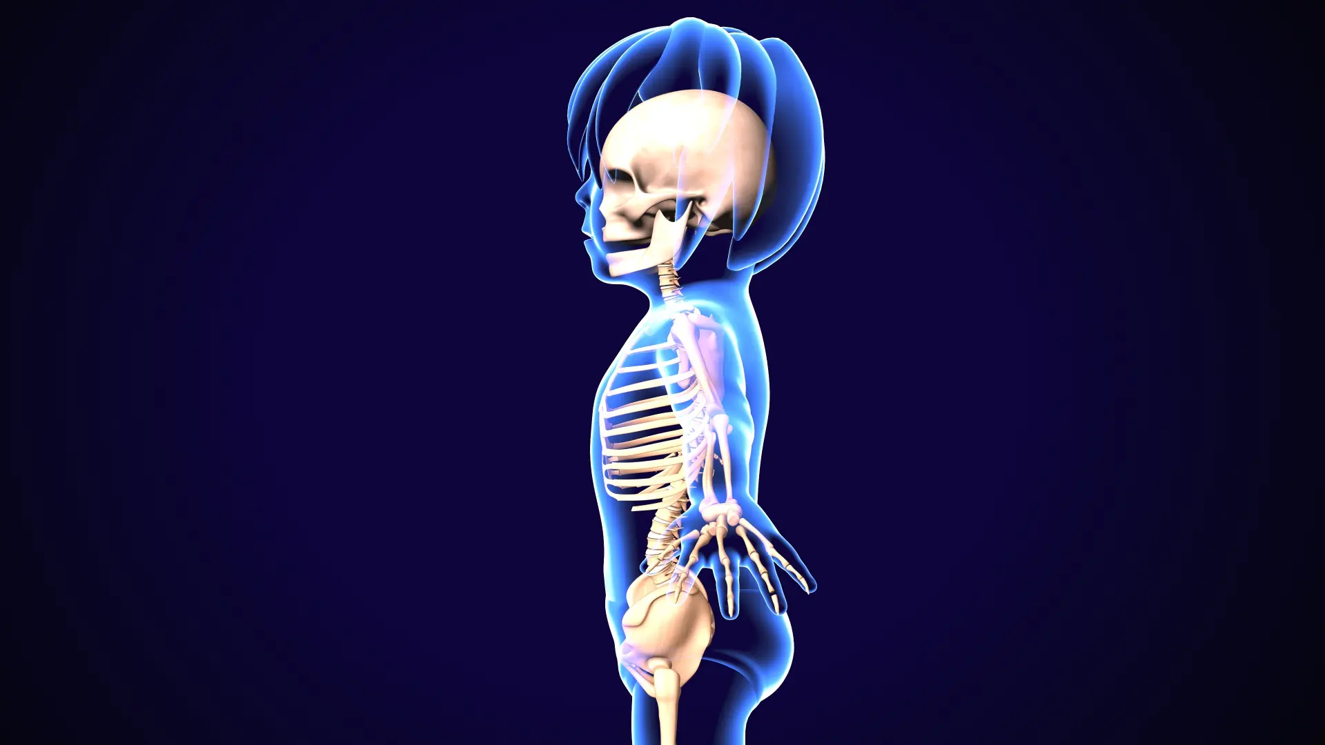 Grafische Darstellung eines Kinderskeletts
