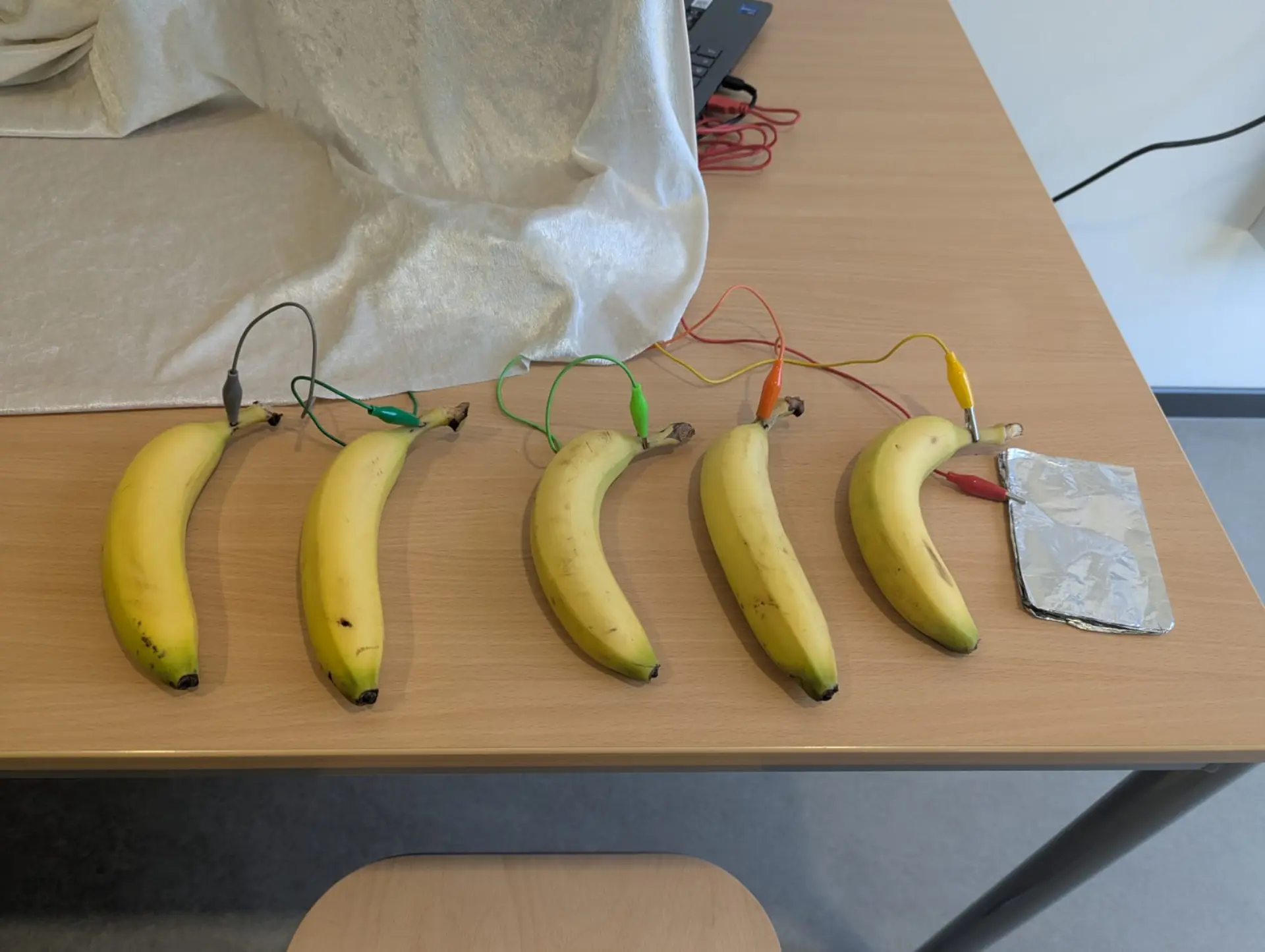 Bananenklavier - Bananen die mit Kabeln angeschlossen sind