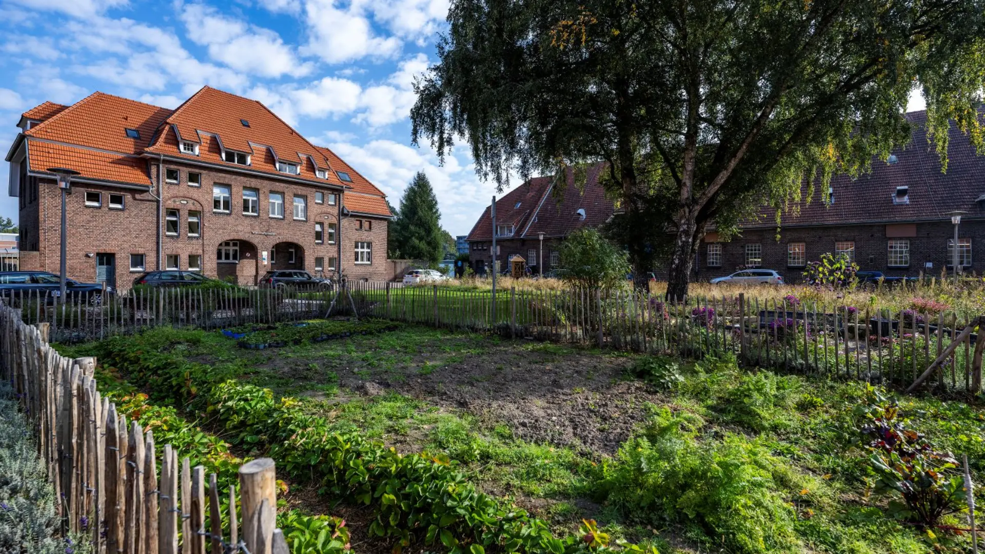 Innenhof mit Gebäude der LVR-Paul-Moor-Schule im Hintergrund