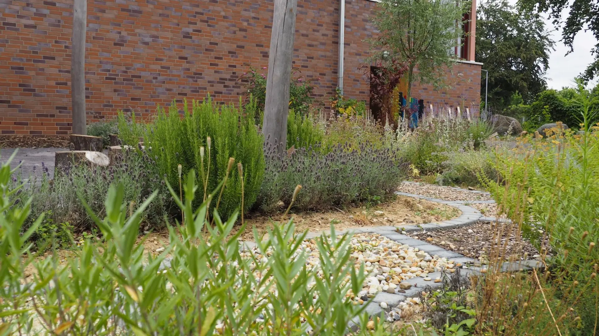 Sinnesgarten mit wilden Blumen