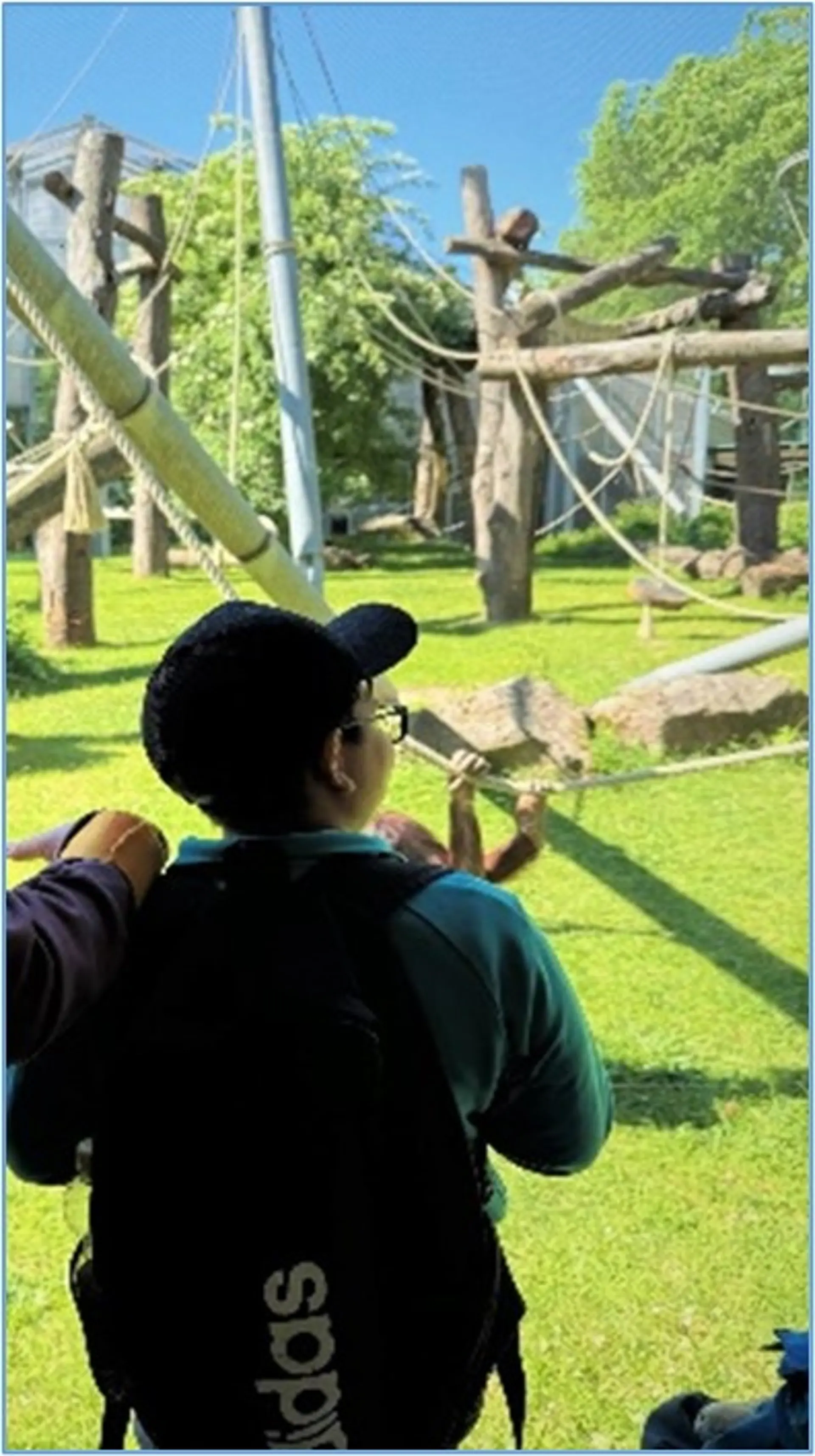 Eine Gruppe aus acht Schüler*innen steht vor einer großen Tierfigur auf dem Zoogelände und betrachtet sie.