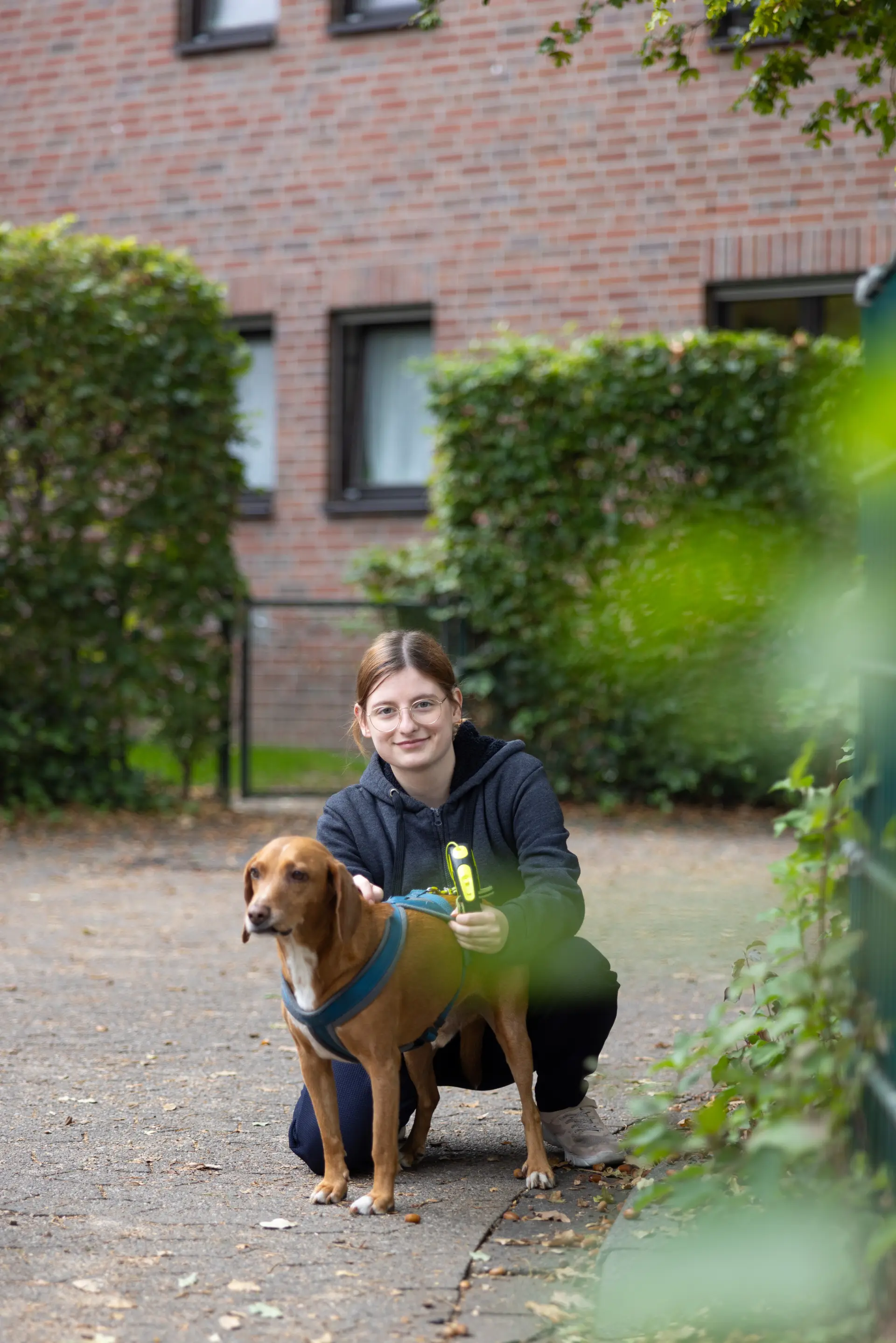Junge Frau hockt auf einem Gehweg vor einem braunen Hund mit blauem Geschirr vor einem Backsteinhaus mit grünen Hecken
