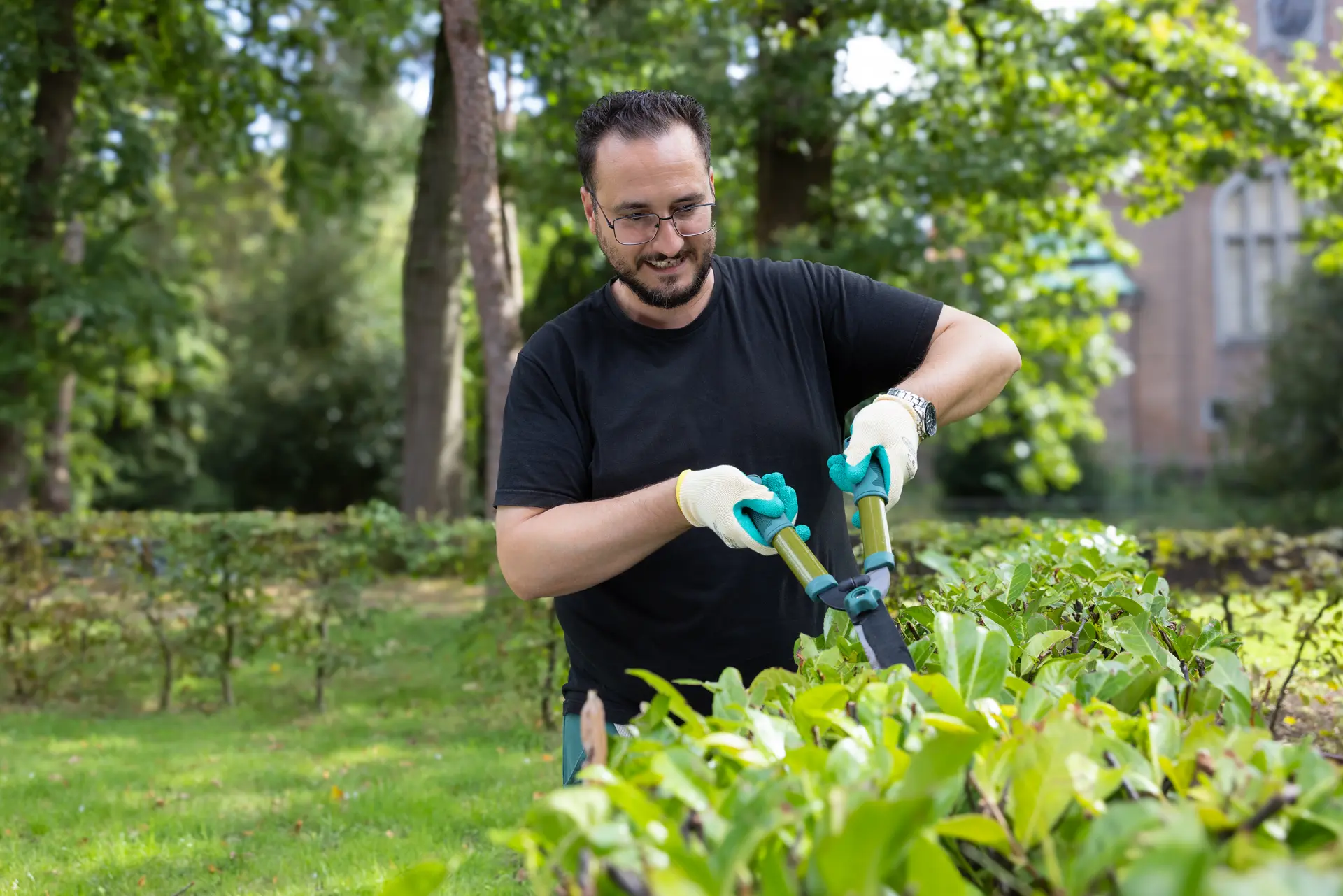 Mann mit Brille und Handschuhen schneidet Hecke im Garten bei Tageslicht