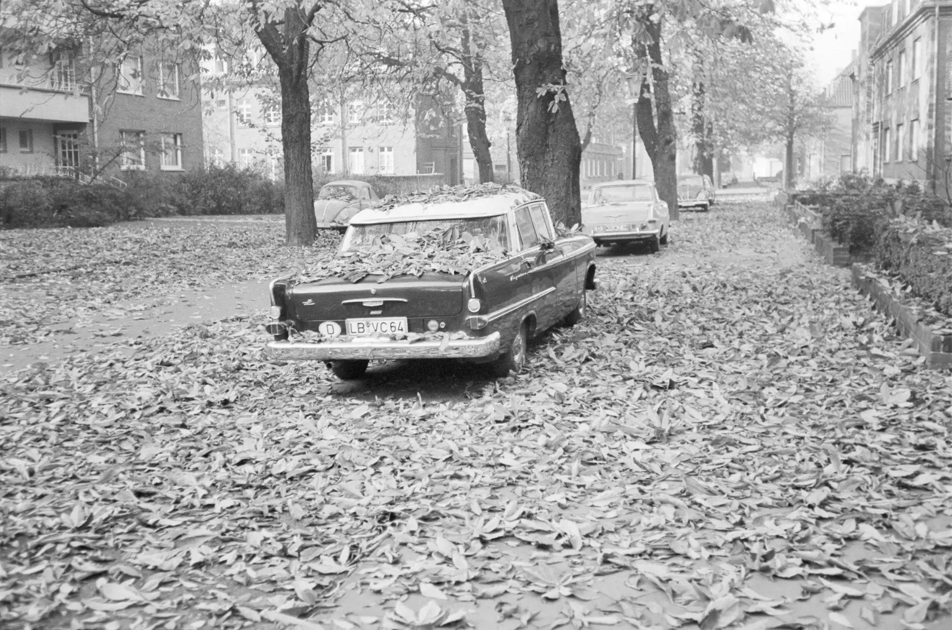 Ein mit Laub bedecktes Auto parkt am Straßenrand.